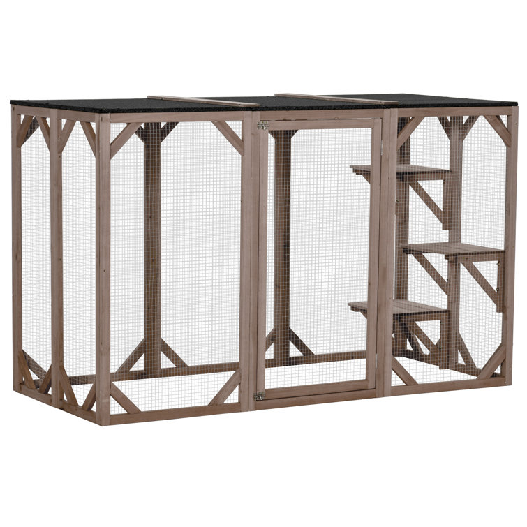 Catio wayfair outlet